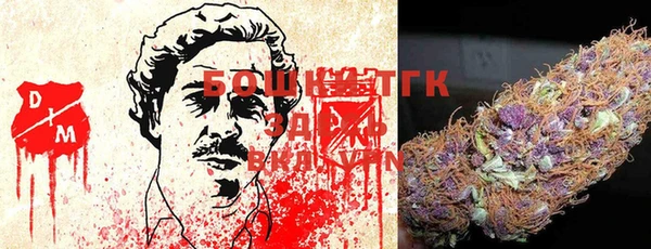 ПСИЛОЦИБИНОВЫЕ ГРИБЫ Верея