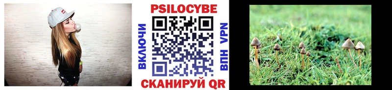 Галлюциногенные грибы Psilocybe  Вытегра 