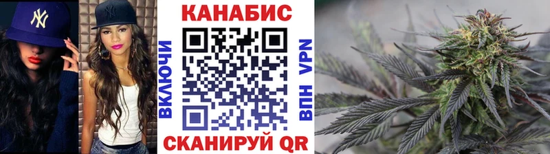 Шишки марихуана планчик  Вытегра 